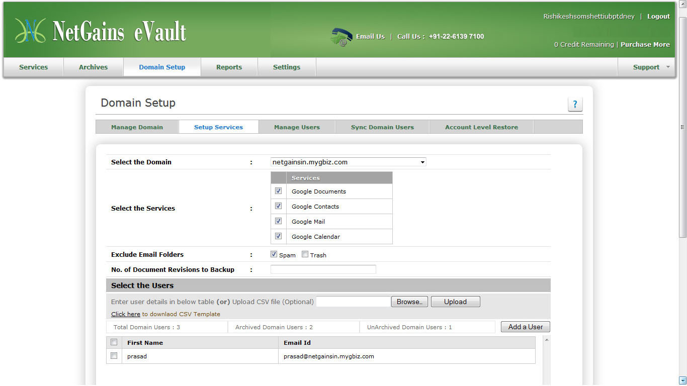 Domain Setup Services